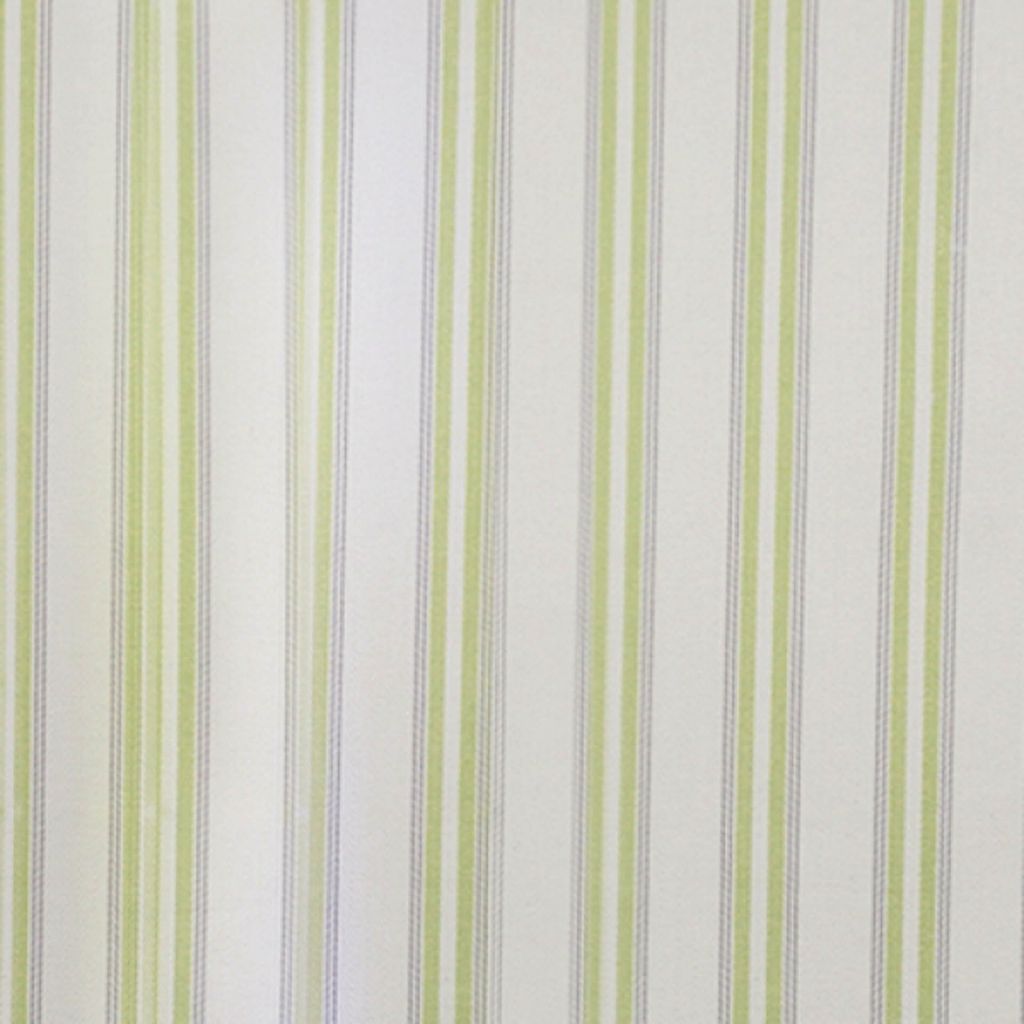 PILLAR POINT – Kiwi