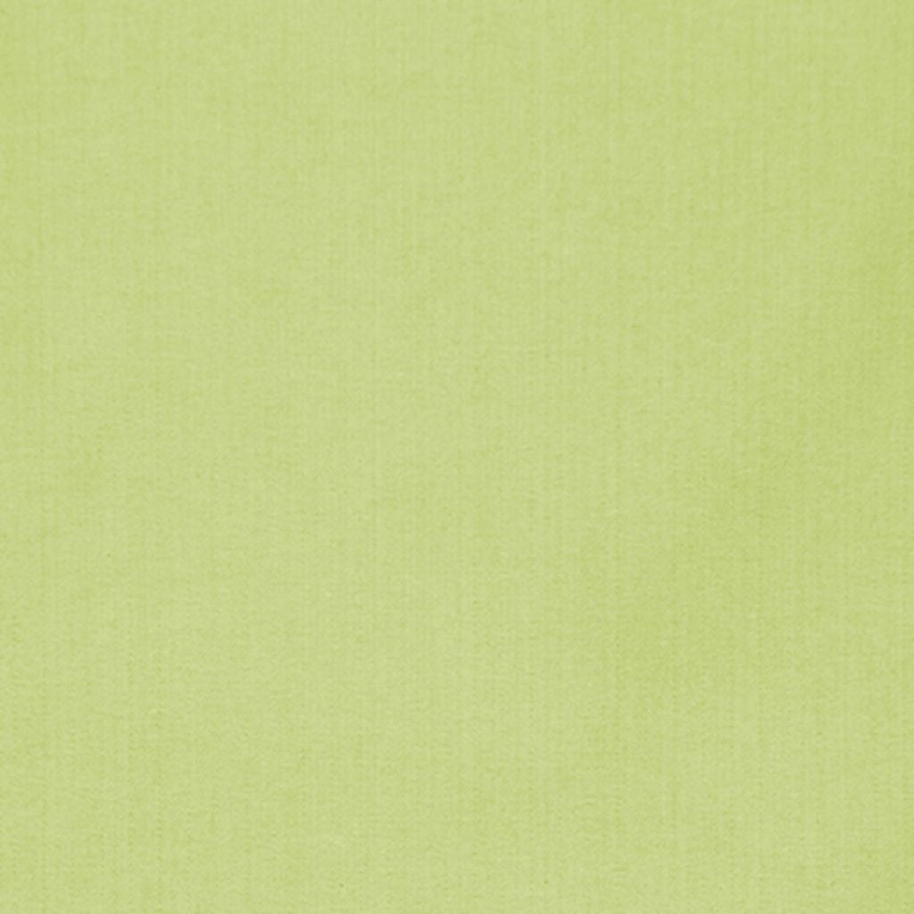 PUGET SOUND – Kiwi