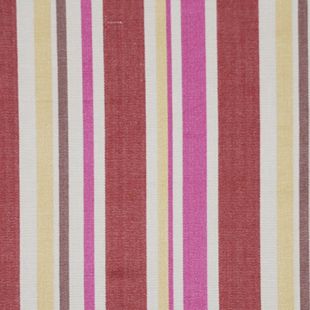 SIGHTSEE – Passion