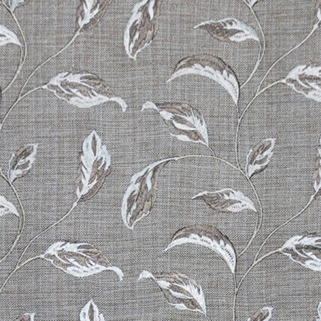 UP THE VINE – WINTER