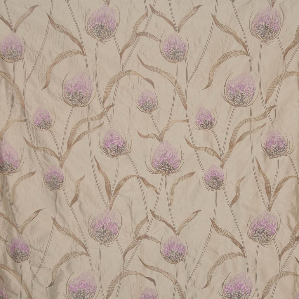 A0360 – BOYSENBERRY