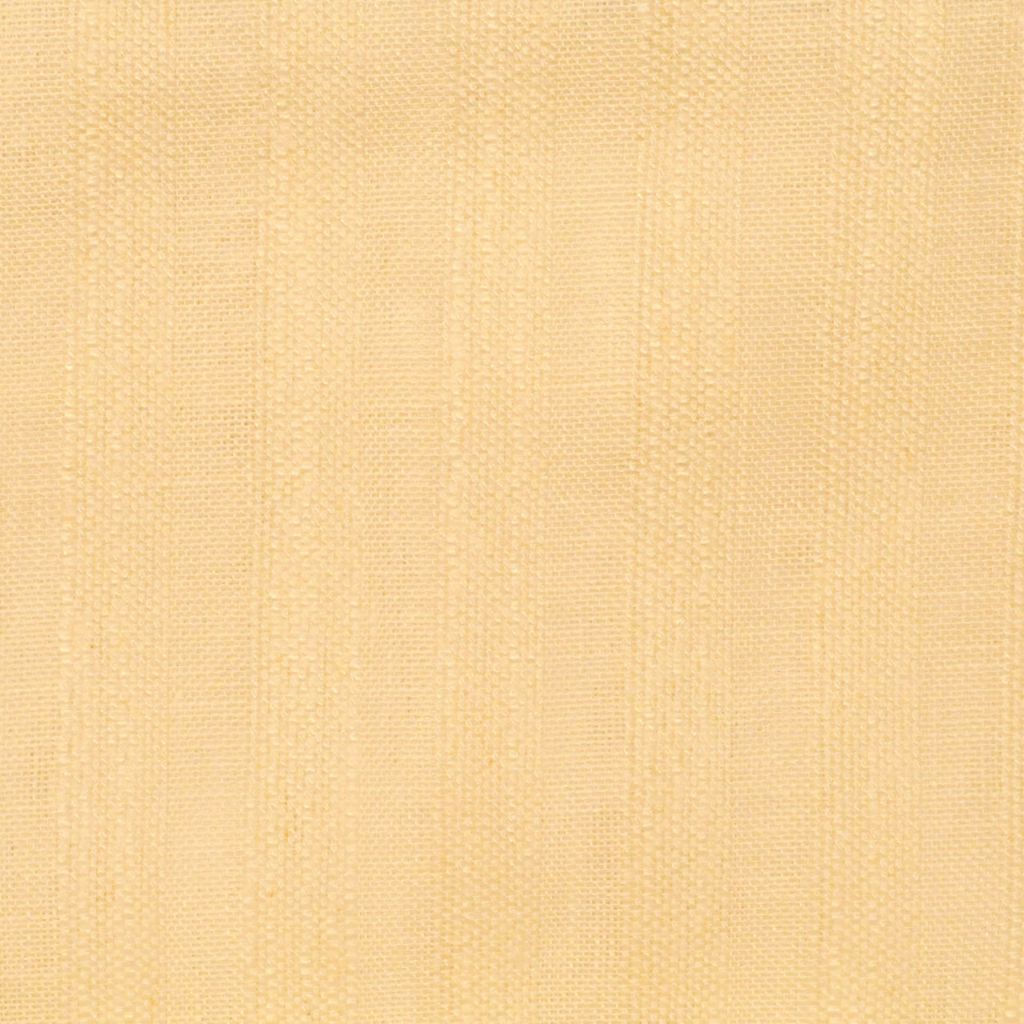 SINAI – Ivory