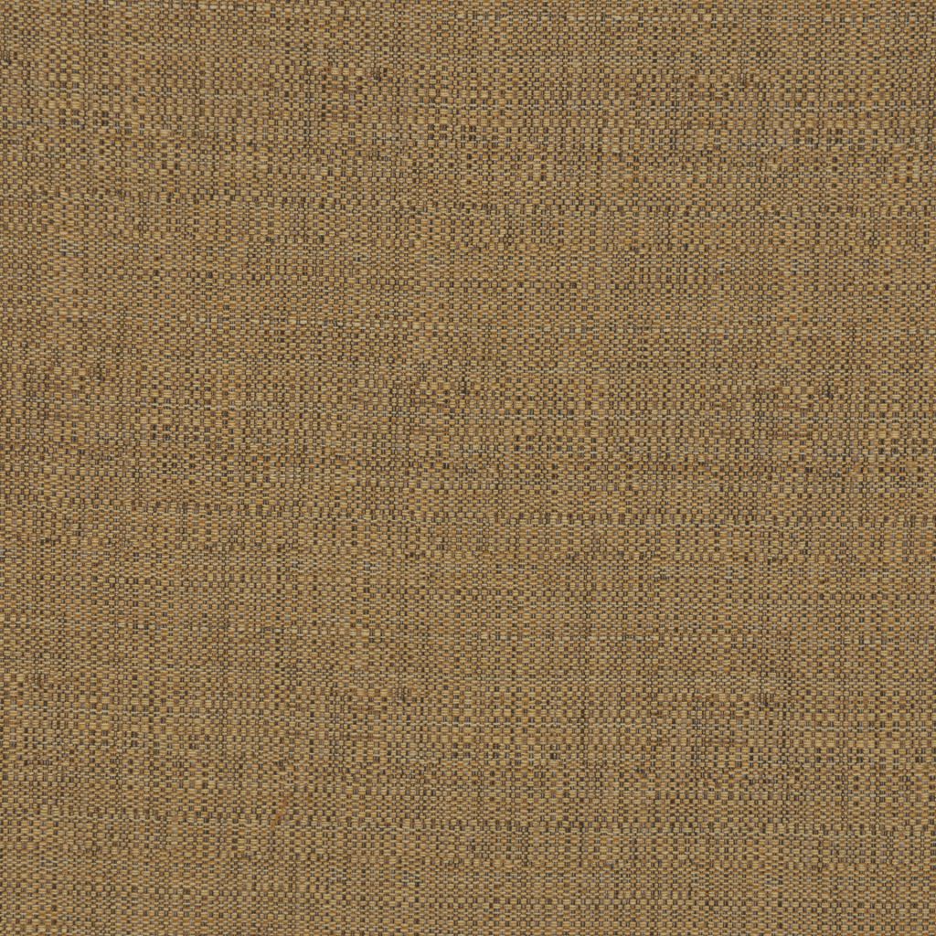 BRIGHTON – BARK