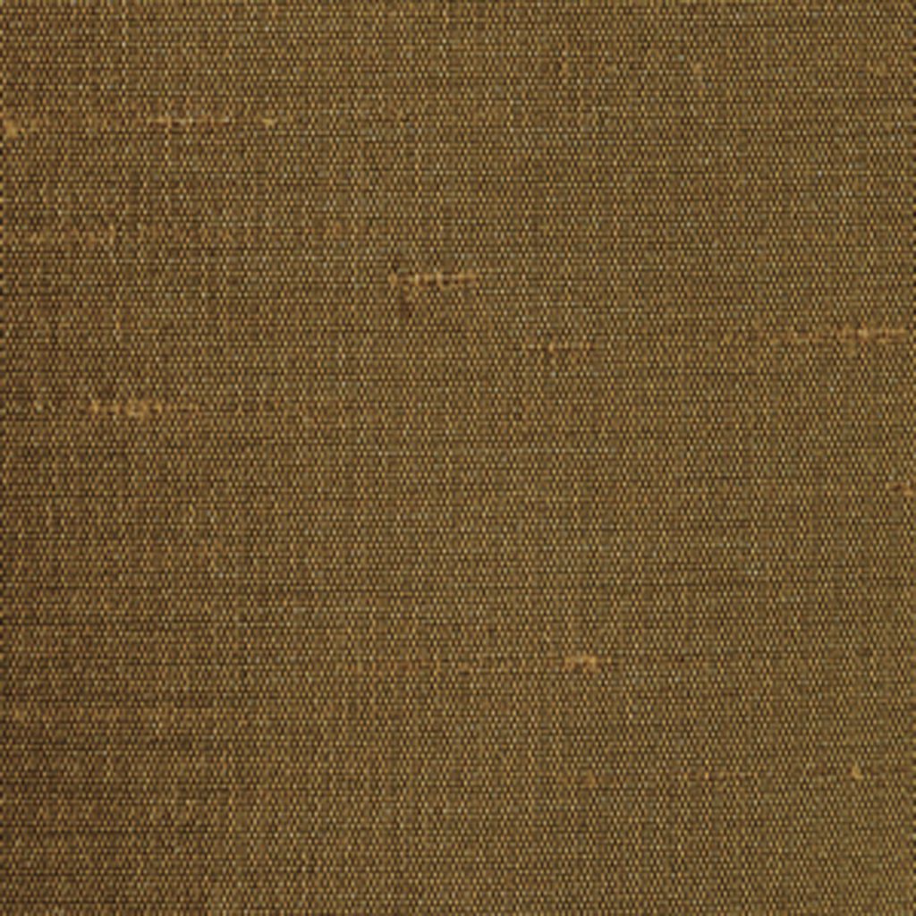 CARINA – CEDAR