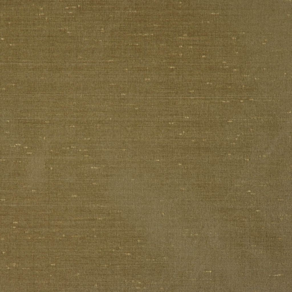 CARINA – WILLOW