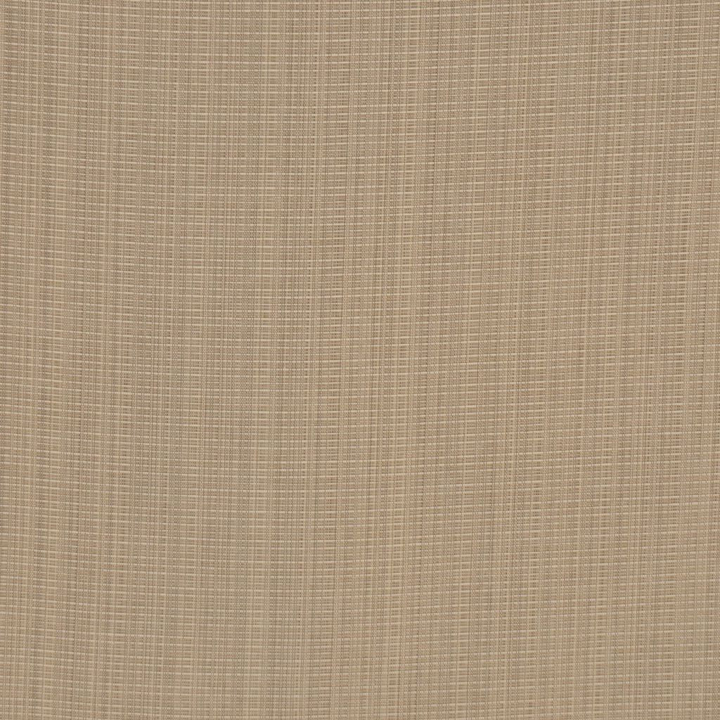 CITIZEN – KHAKI