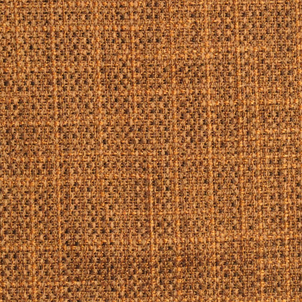 MORPH – MOSS