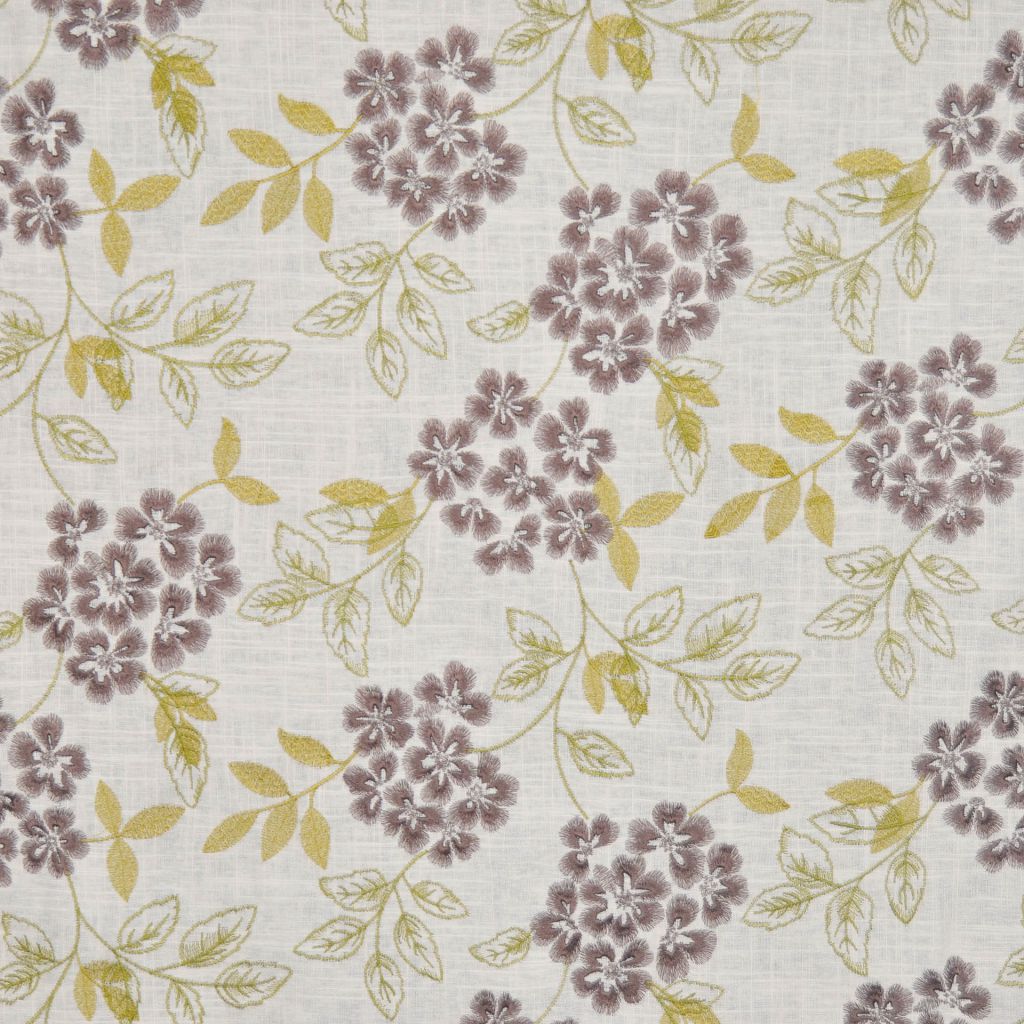 SCHUMER SEND SFA – JASPER