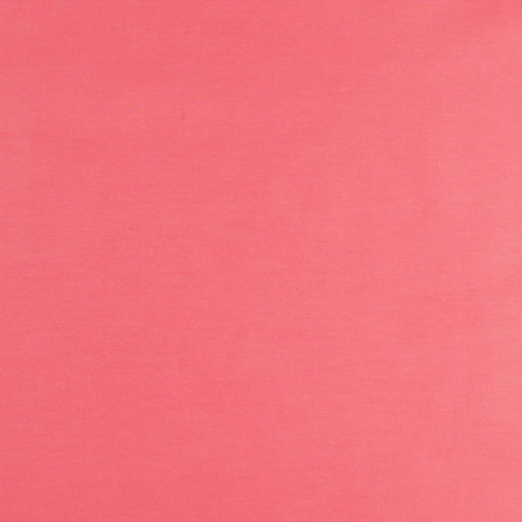 TALENT – FLAMINGO