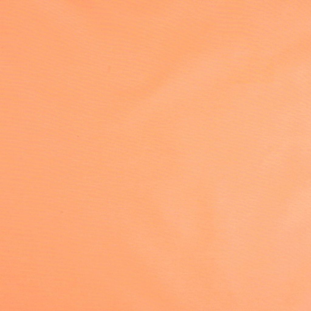 TALENT – NECTARINE