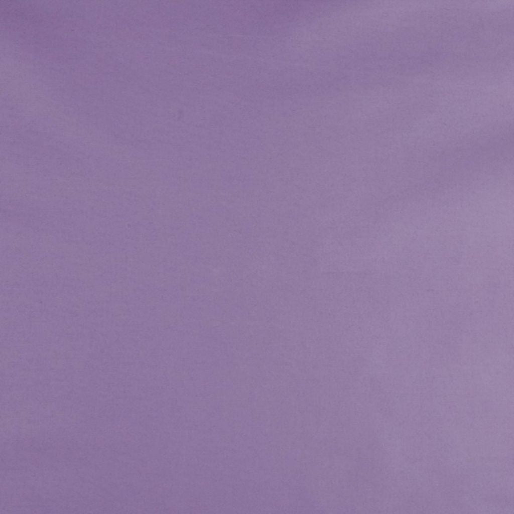 TALENT – PLUM