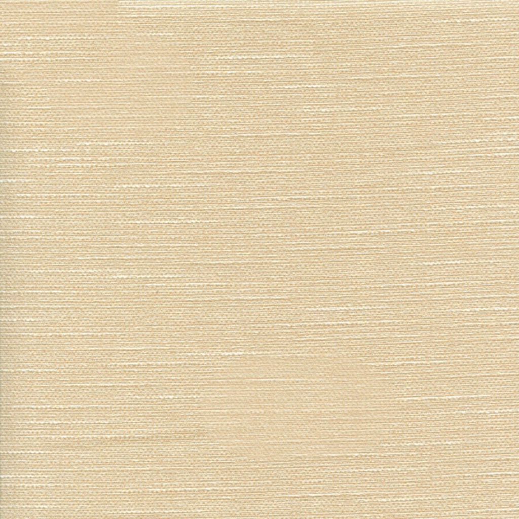 TEMPURA – Seed