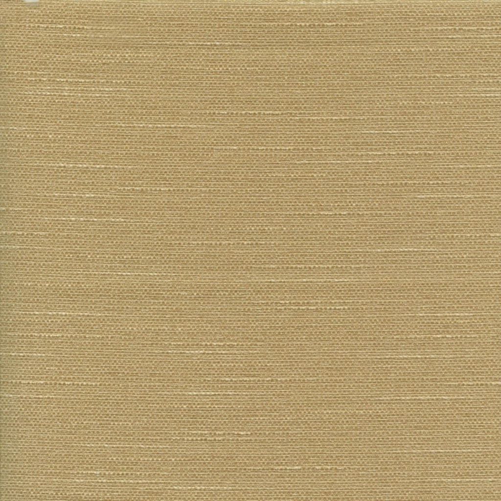 TEMPURA – Jungle