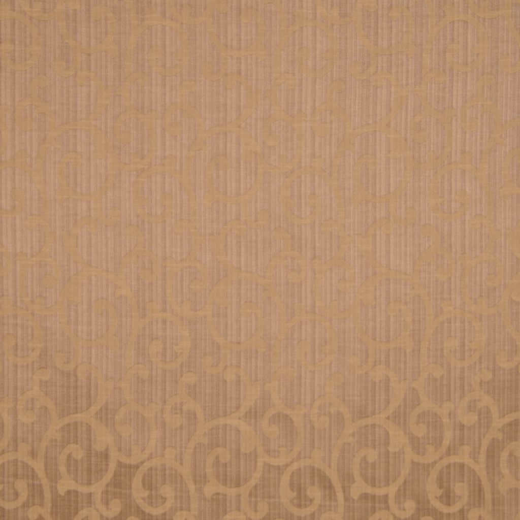 BROOM – NUTMEG
