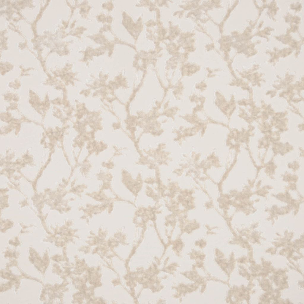 CAROLINA – CREAM