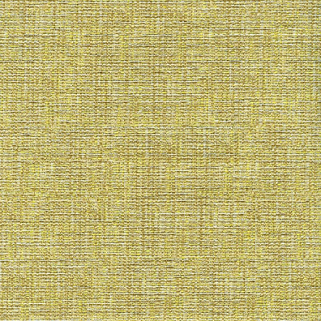 FIRST CHOICE – Algae