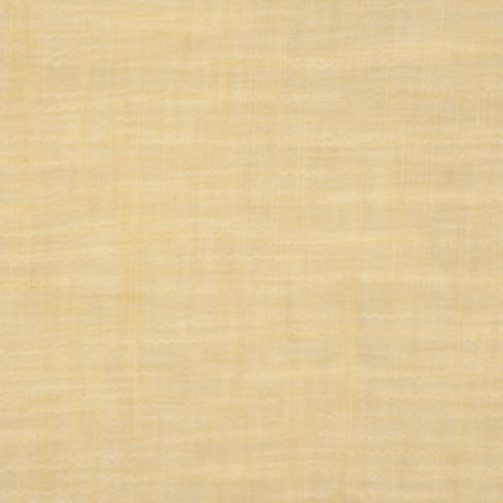 LATITUDE – DAFFODIL