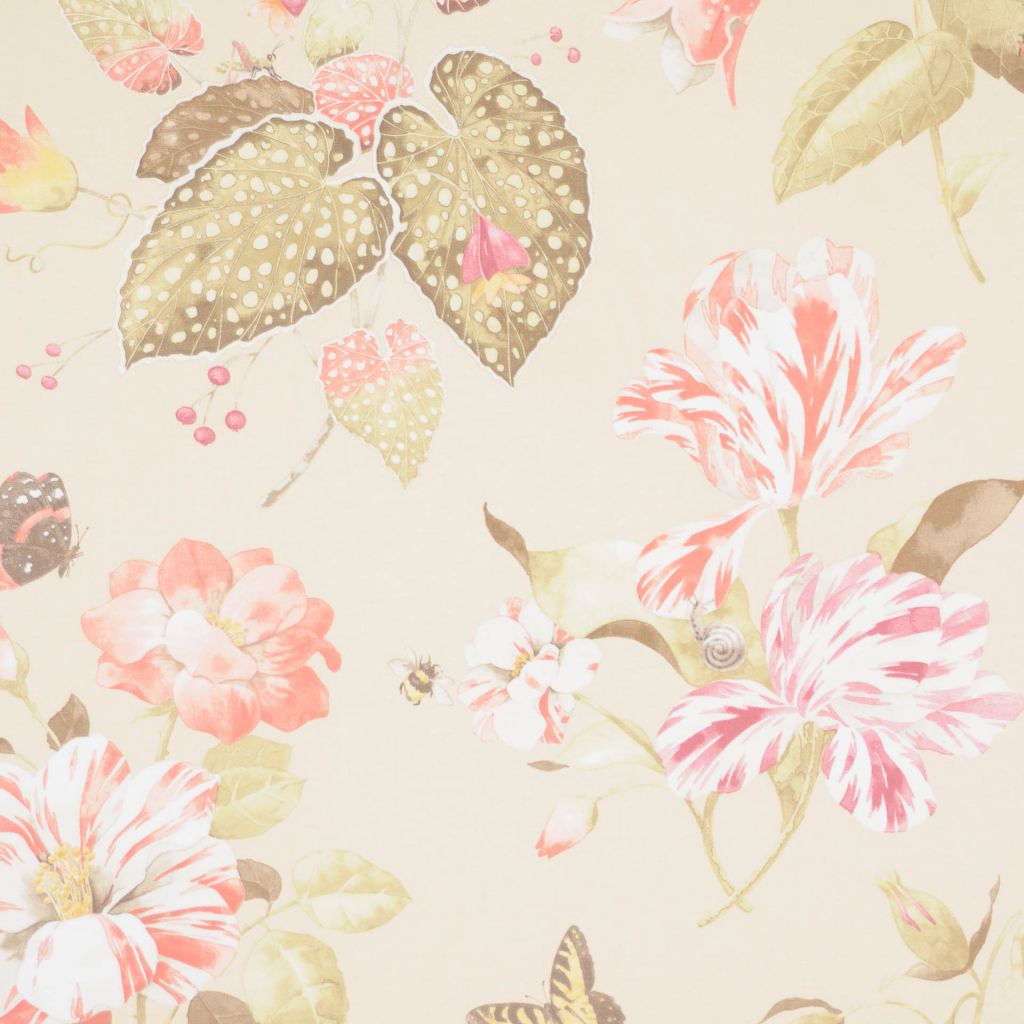 MILITARY – CHAMPAGNE