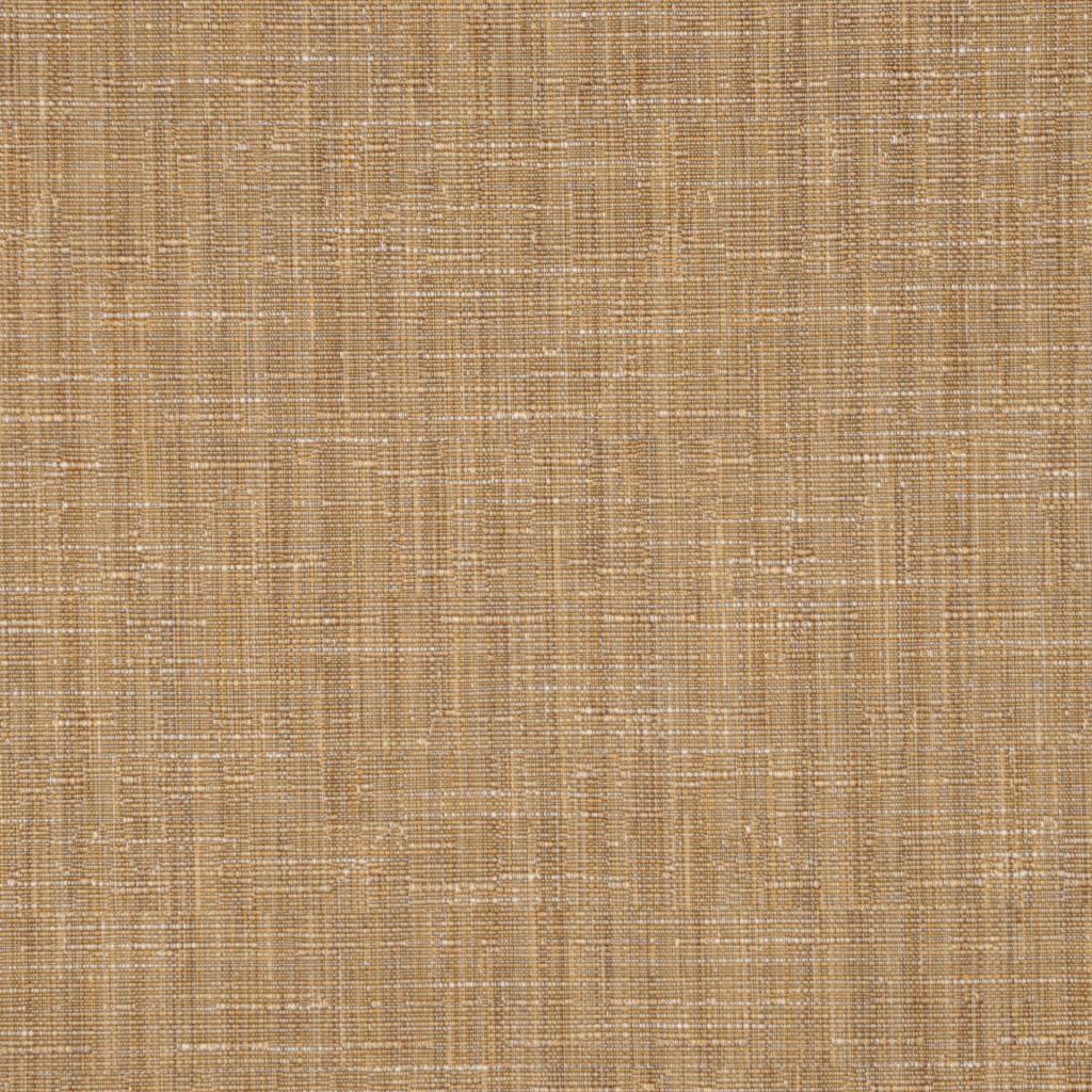 REMARKABLE – Curry