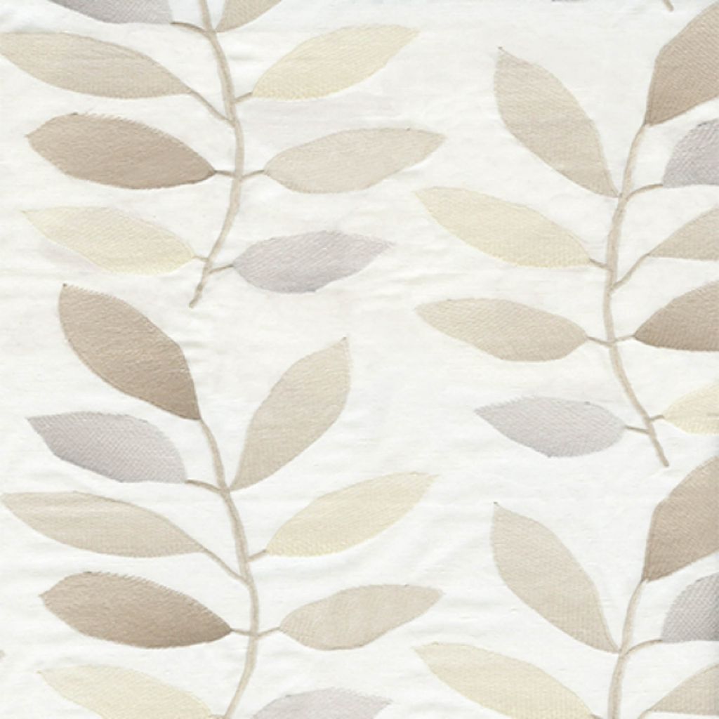 PROMOTION – Vanilla