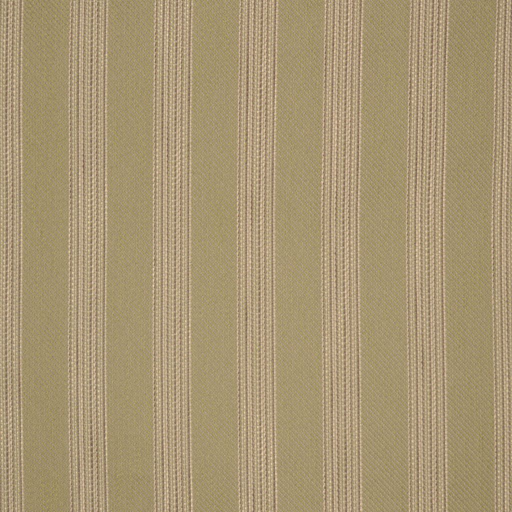 STEPPE – BASIL