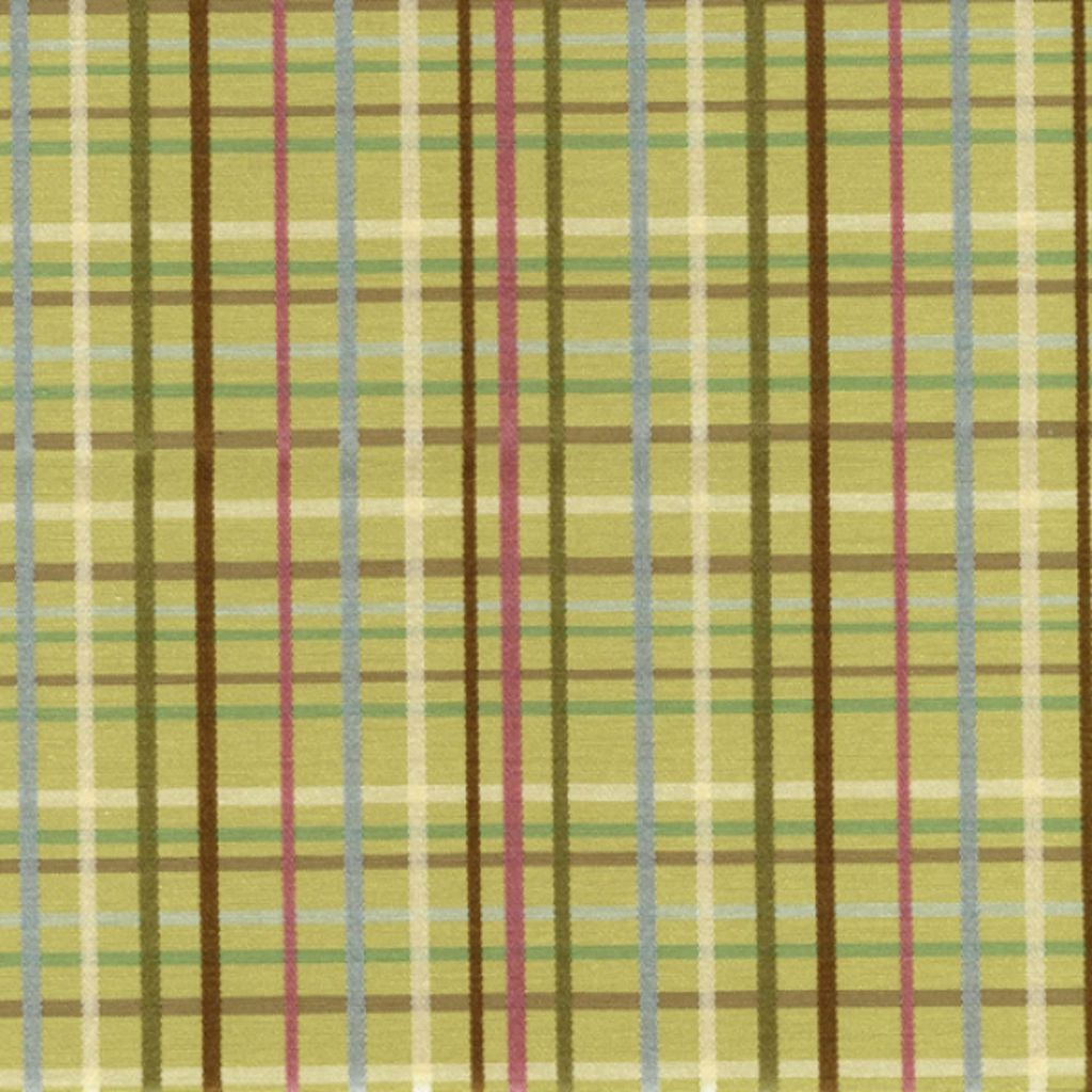 TOP PRIORITY – Algae