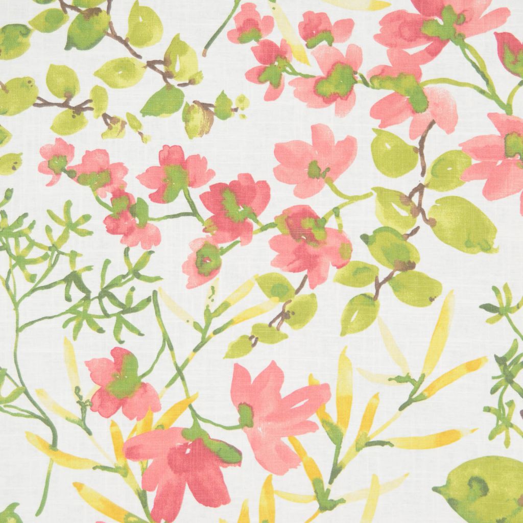 WIND – RASPBERRY