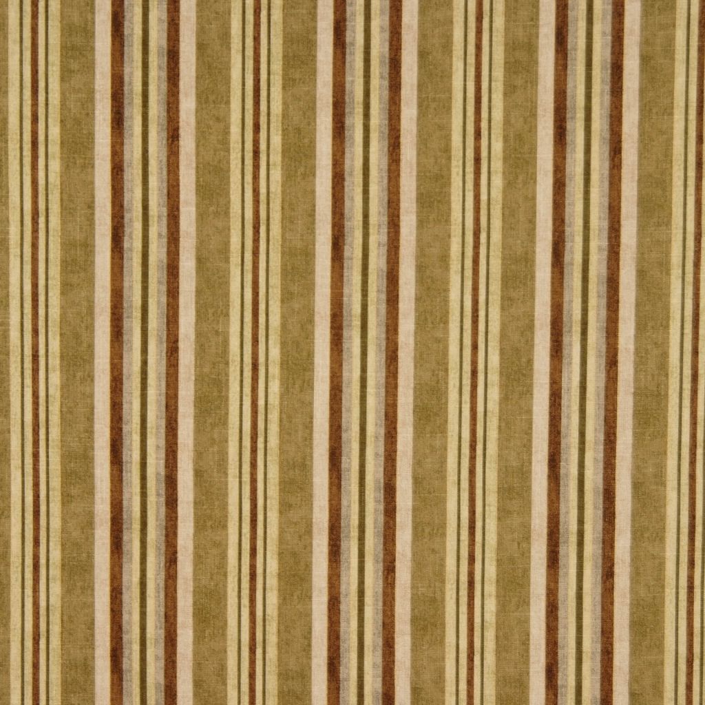 FLYCATCHER – OLIVE