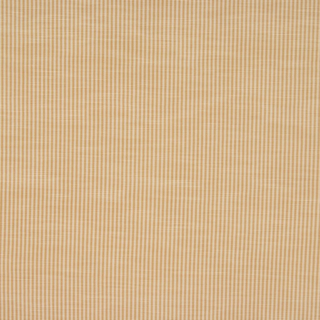 HAWK – STRAW