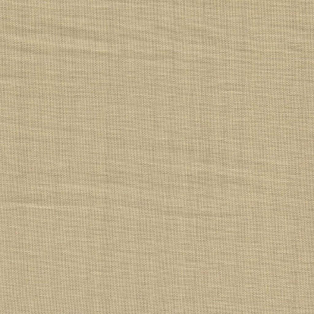 ILLUSTROUS – TOAST