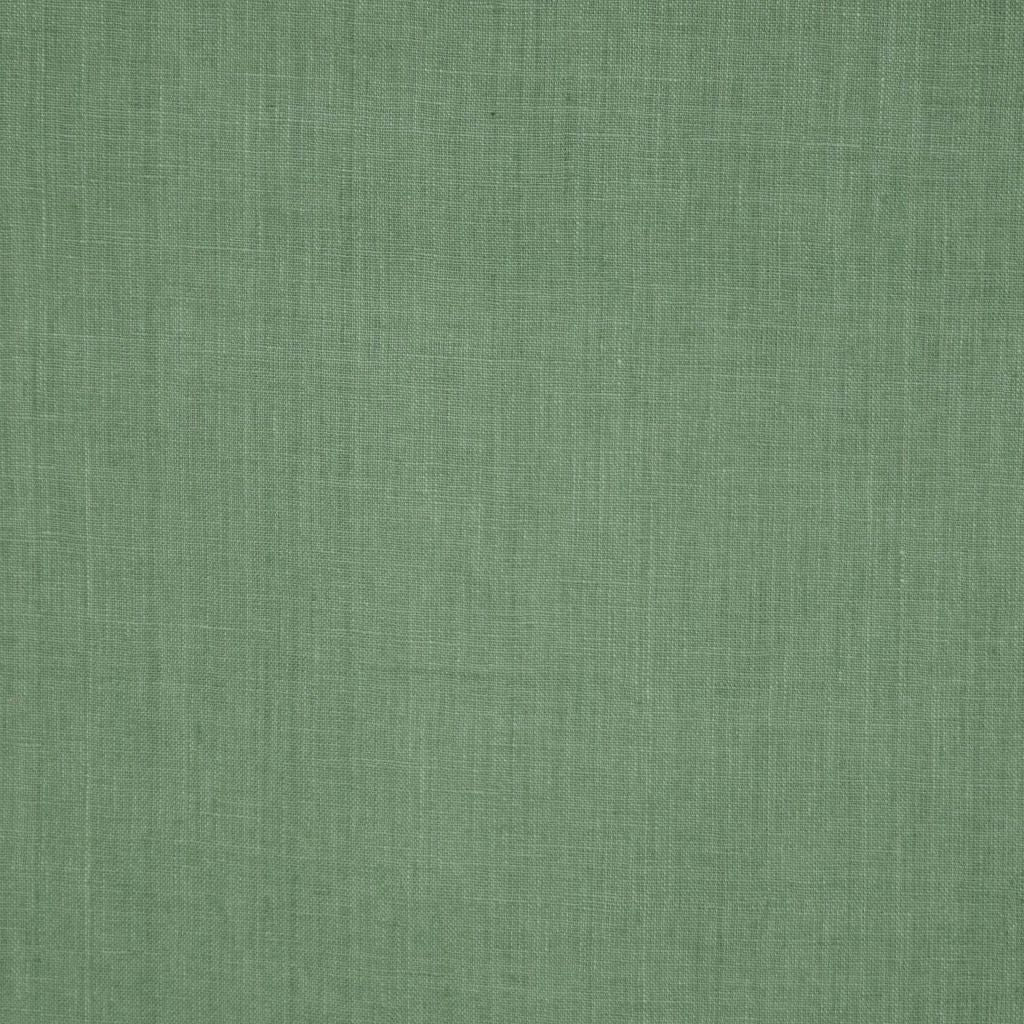 INSIGHT – FOREST