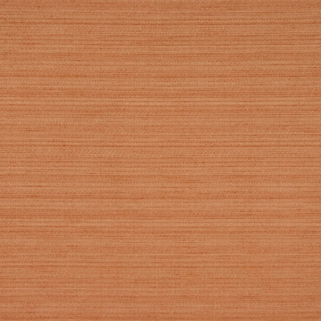 MORE – GINGER