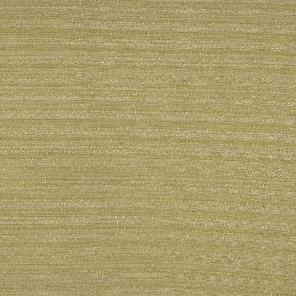 MORE – PALM