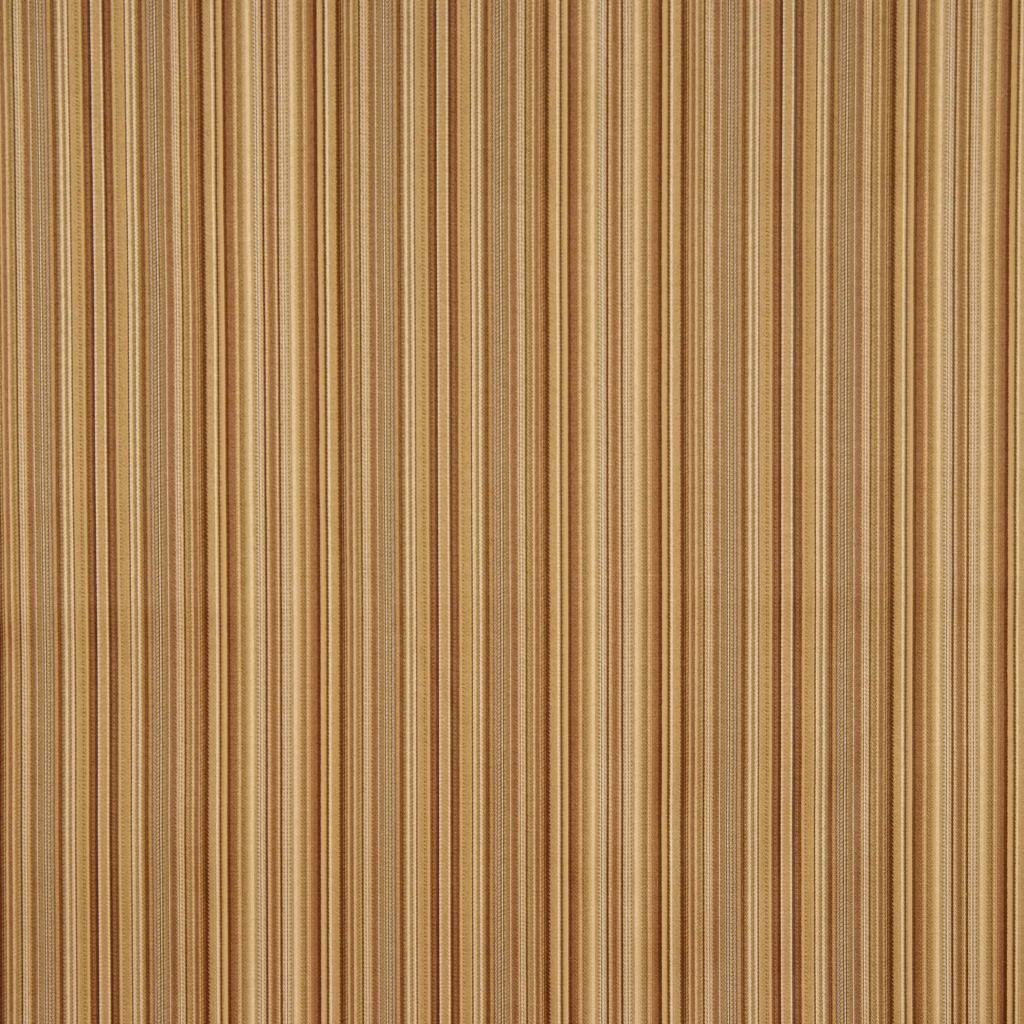 THRASHER – WOODLAND