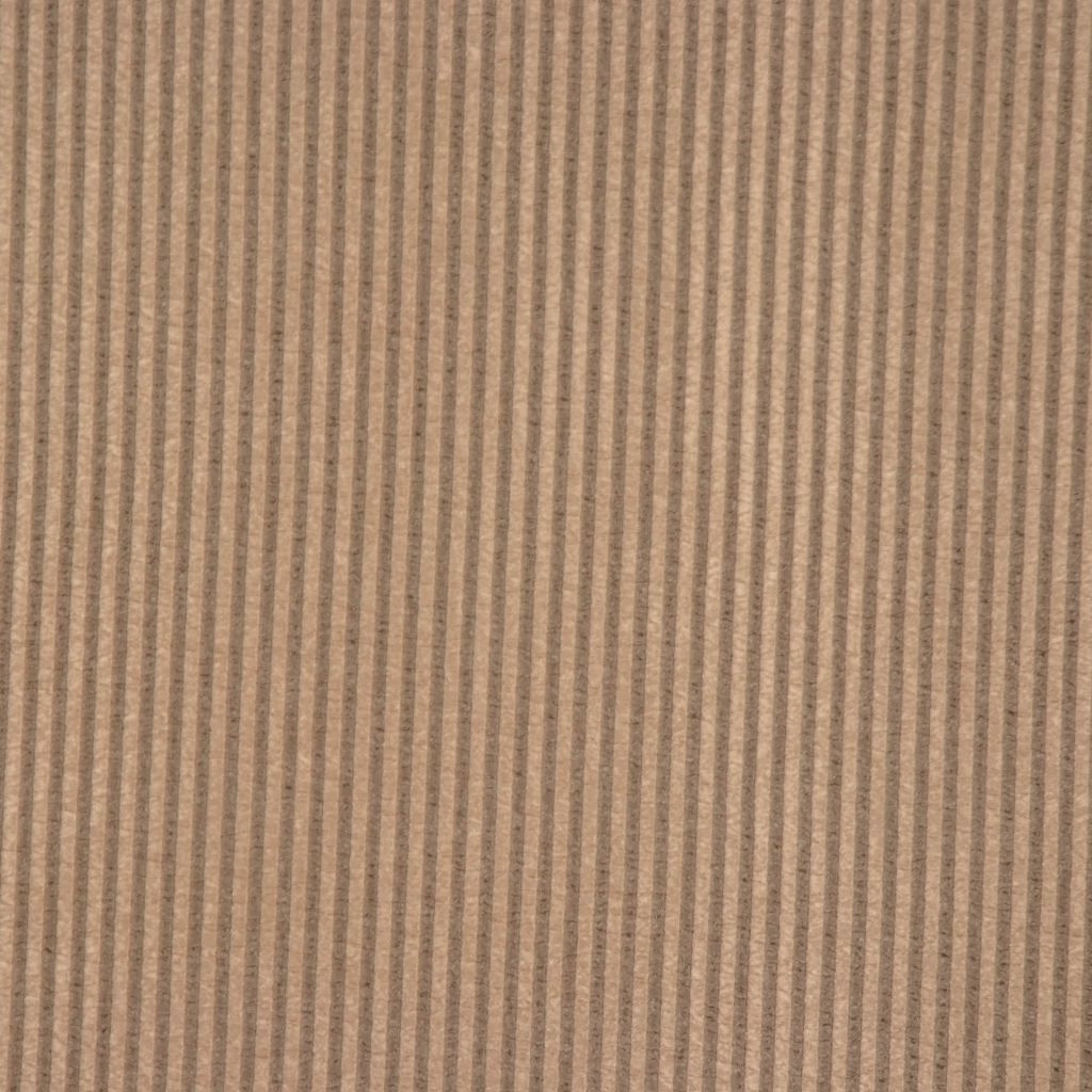 GLADIATOR – CARBON