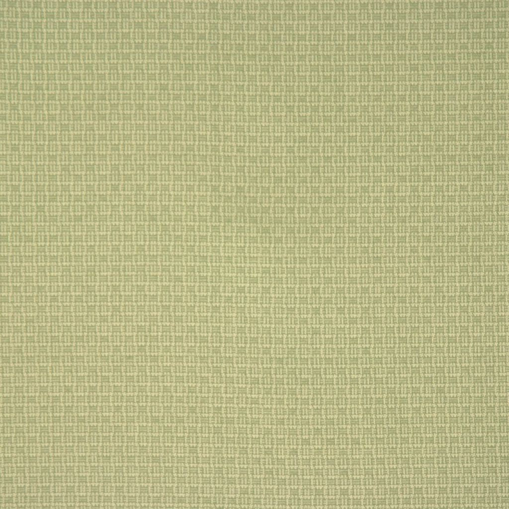 COE – MINT