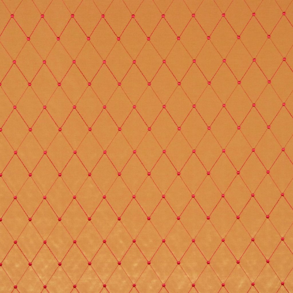 ACURA – INCA