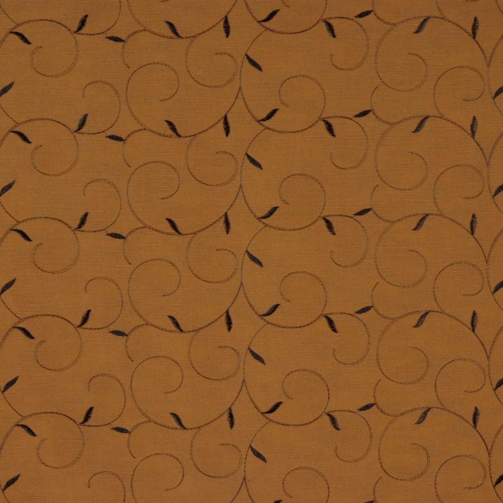 INFINITY – GINGER