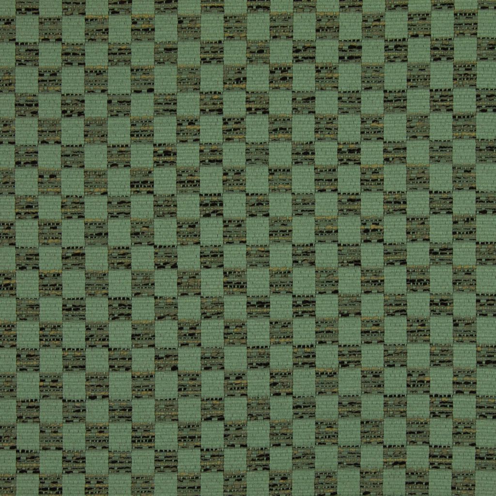 TIGRESS – EUCALYPTUS