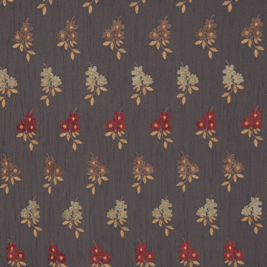 BRULEE – BLACK OLIVEVARIED