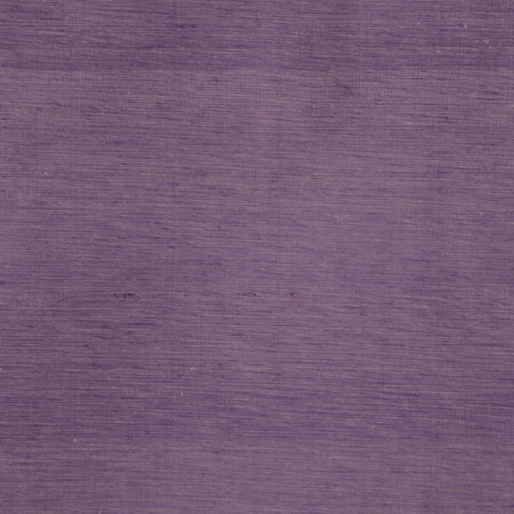 CALCUTTA – ORCHID