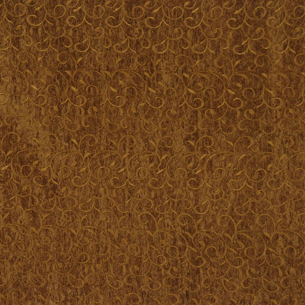 CALCIUM – TORTOISE