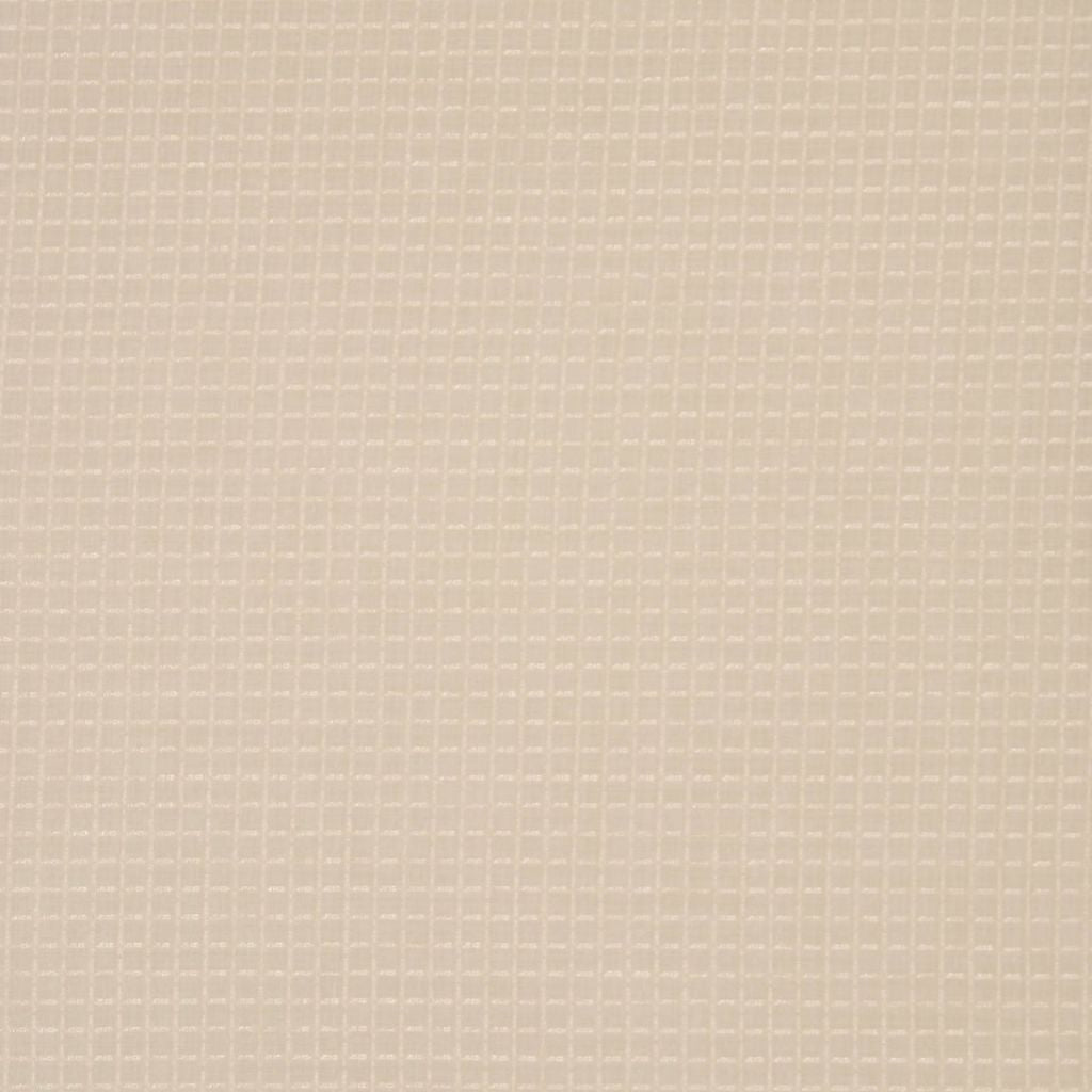 LIVORNO – PARCHMENT