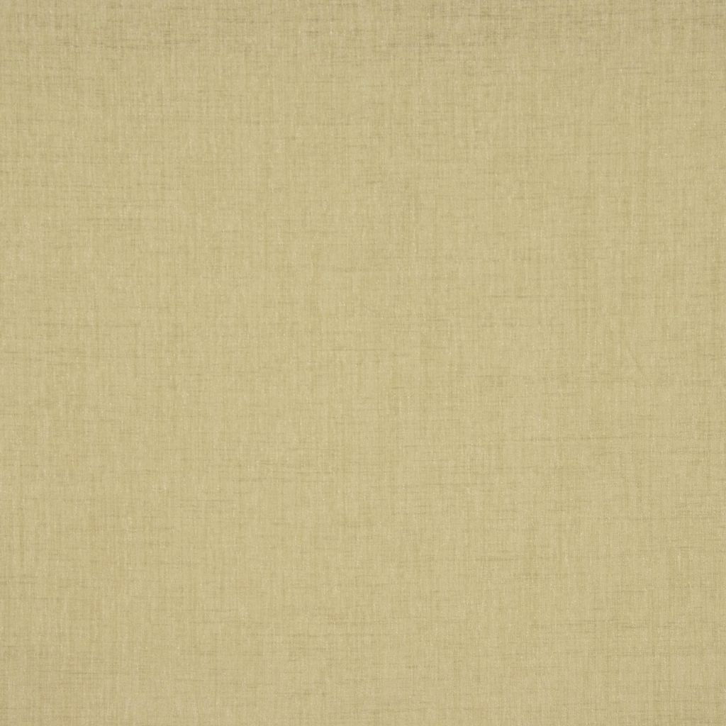 PASTA – WILLOW