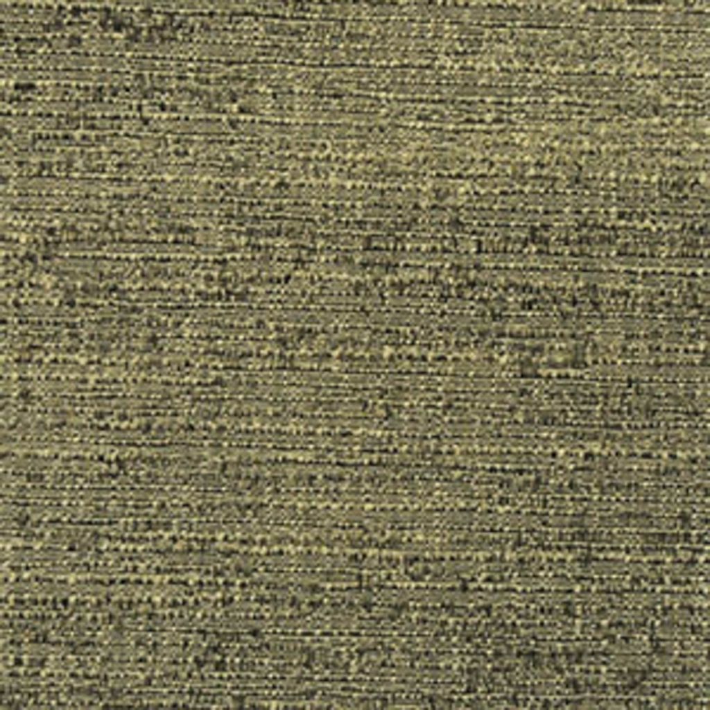 ADAPTATION – ENDIVE