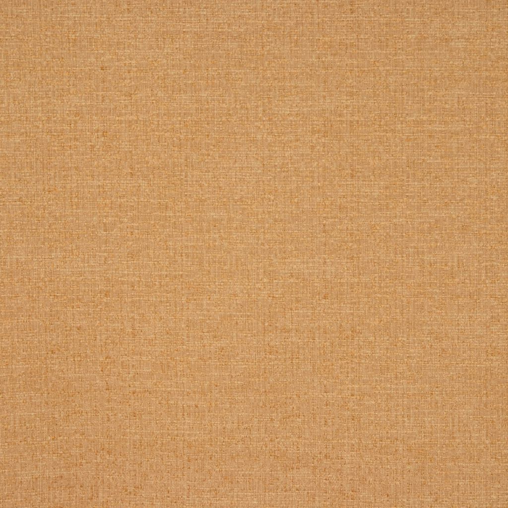 ADAPTATION – NUGGET