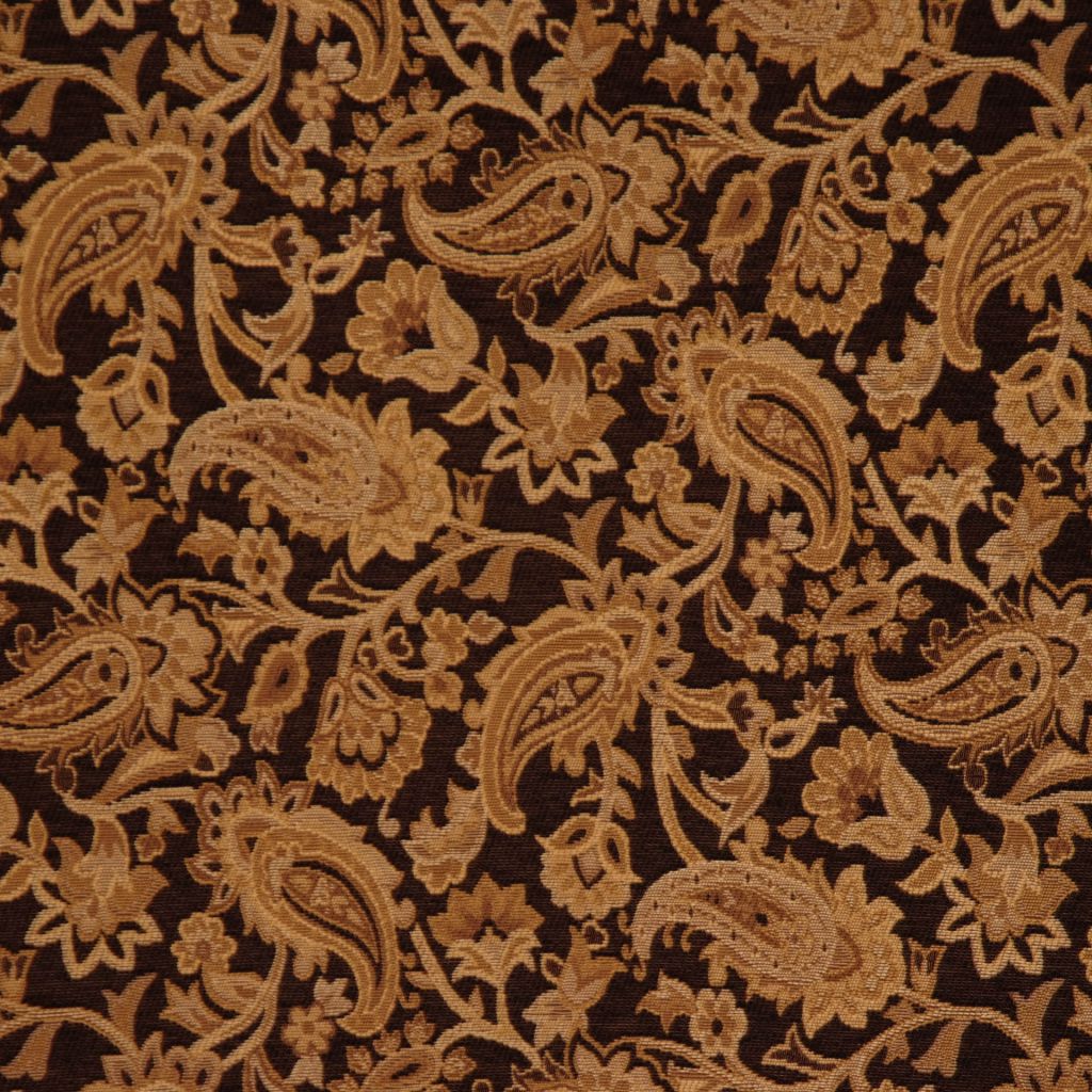 PREVAIL – EXPRESSO