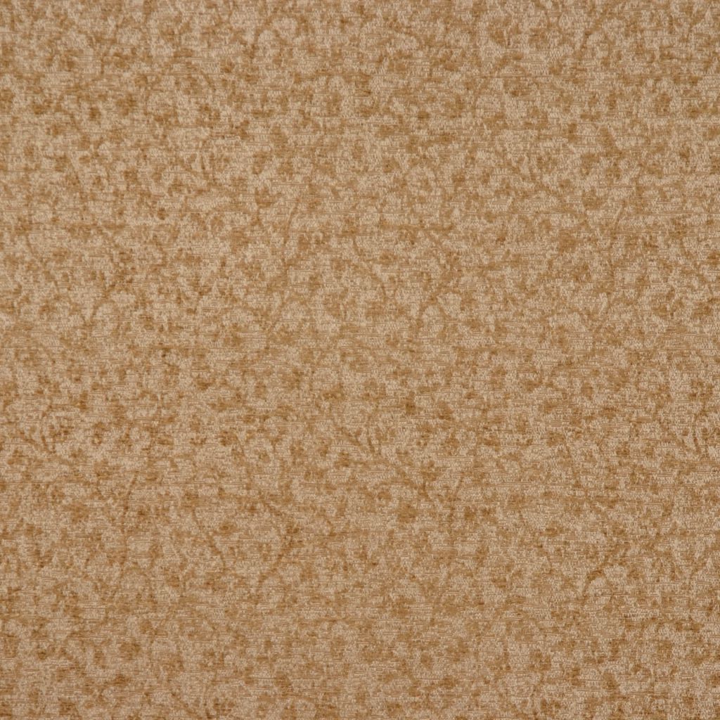 S876 β 858
