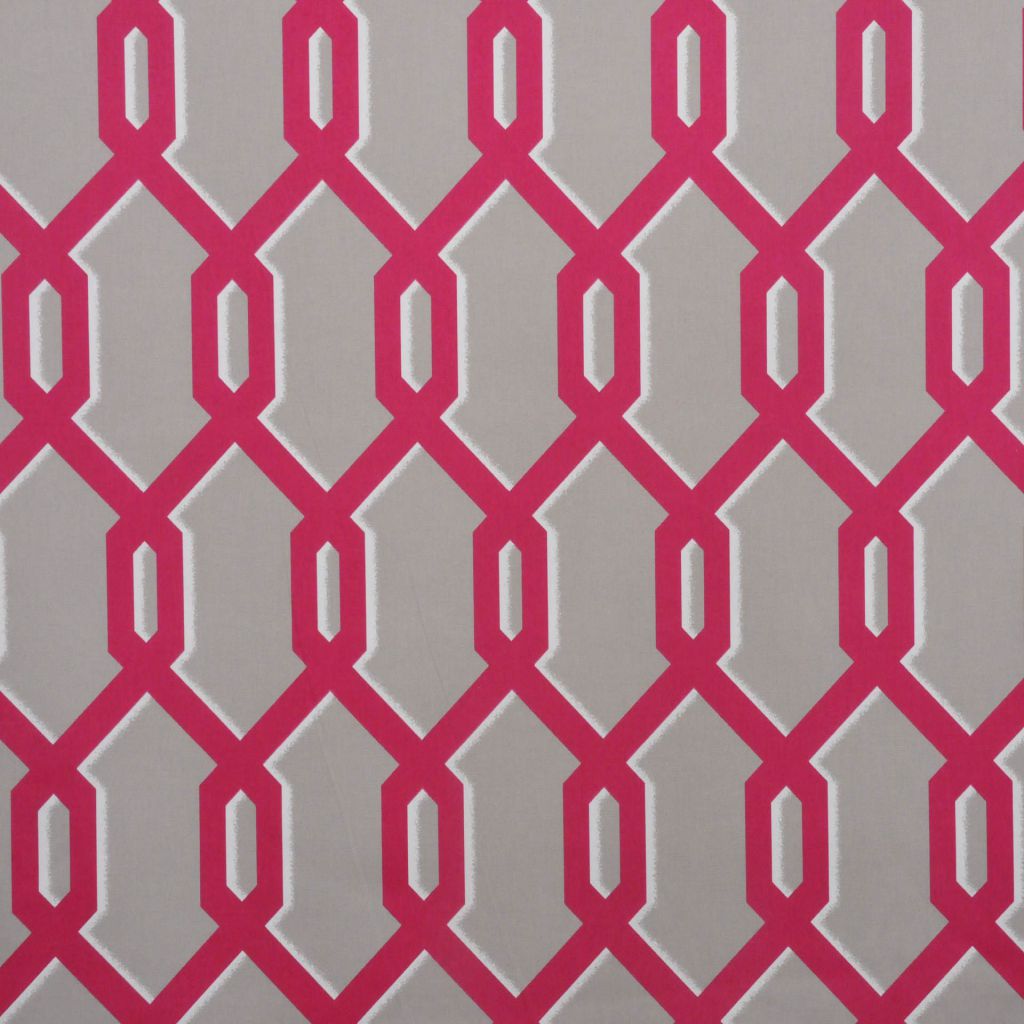 A0486 – RASPBERRY