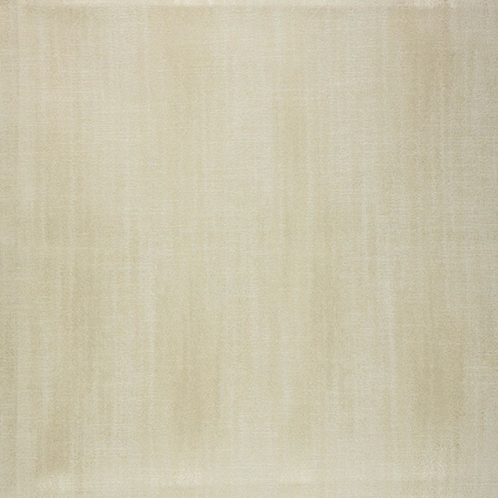 PAINTER'S WALL – SHELL